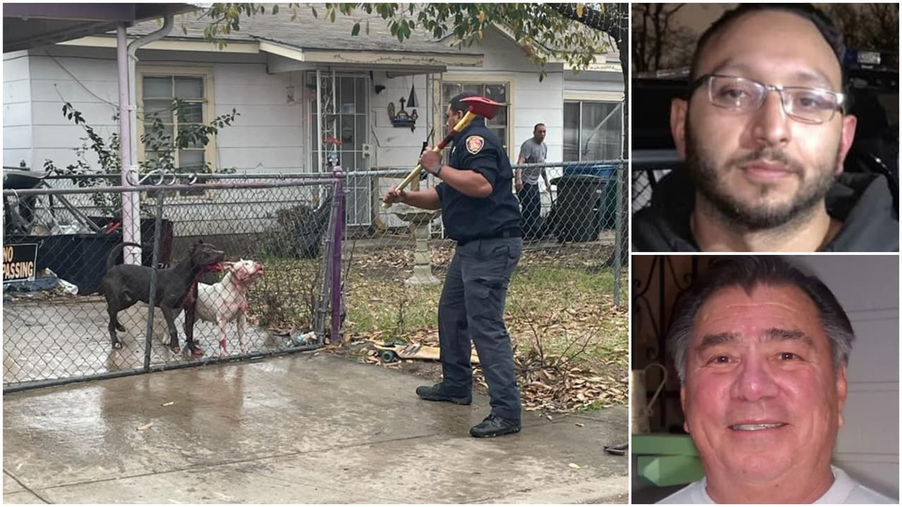 Paga fianza y sale libre Christian Moreno, dueño de los dos perros que mataron a veterano hispano en Texas