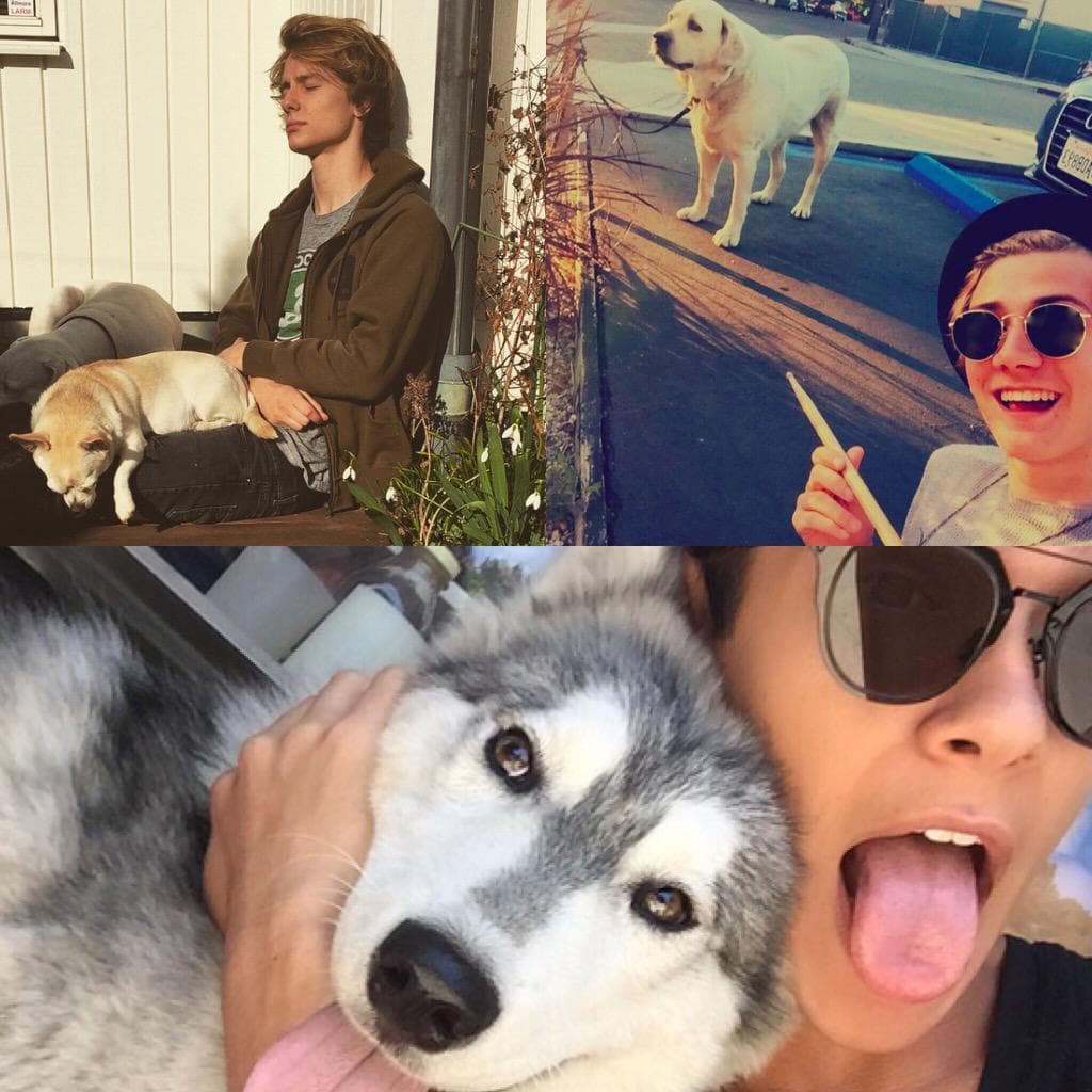 La banda The Foo Conspiracy junto a sus mascotas.