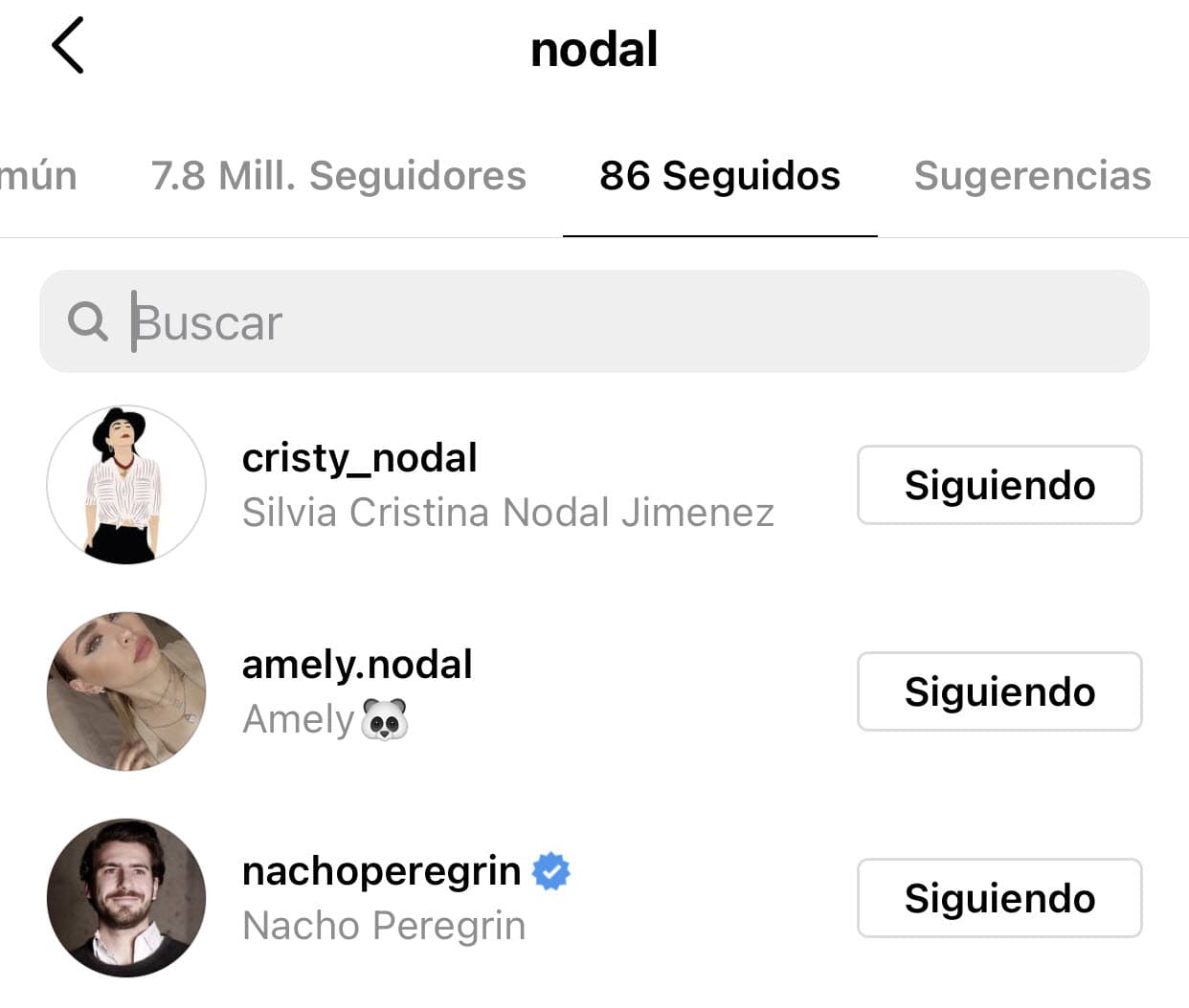 En el caso de él, aún seguía a Nacho Peregrín Jr., el hermano de la cantante.