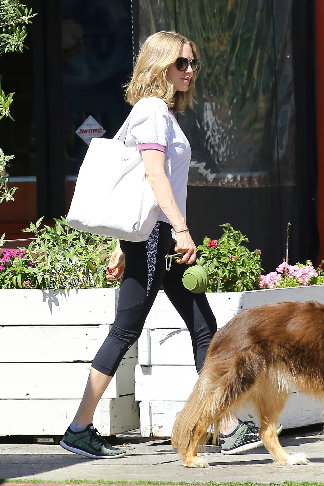 Fueron a un parque cercano a jugar con su mascota.