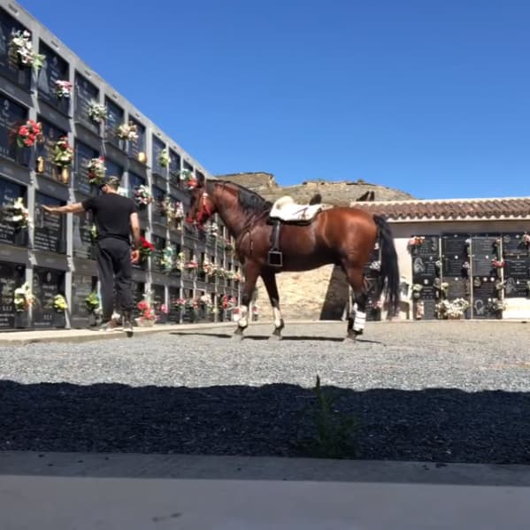 Nuestro experto en moda ha aprovechado para visitar lugares muy importantes para él, como el cementerio: "Esta mañana visité a mis abuelos, Rosalia. Vinatero sabe perfectamente cuando tiene que estar paciente y dejar su rebeldía a un lado... la nobleza de los caballistas es impresionante", escribió en Instagram.