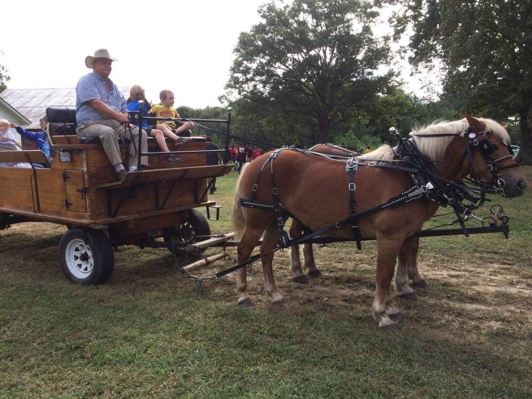 <b>RELACIONADO</b>: Estos son 
<b><a href="https://www.univision.com/local/north-carolina-wuvc/eventos-otono-que-no-puedes-perderte-carolina-del-norte-fotos" target="_blank">los eventos de otoño</a></b> que no puedes perderte en Carolina del Norte