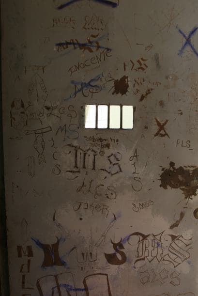 Uno de los datos nuevos es que los pandilleros están participando ahora en el tráfico de personas sin papeles.