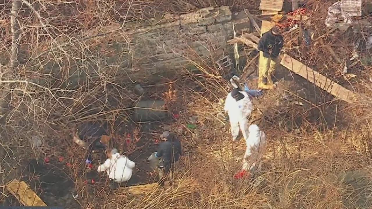 Hallan cráneo y restos humanos entre la maleza del paseo marítimo en Coney Island