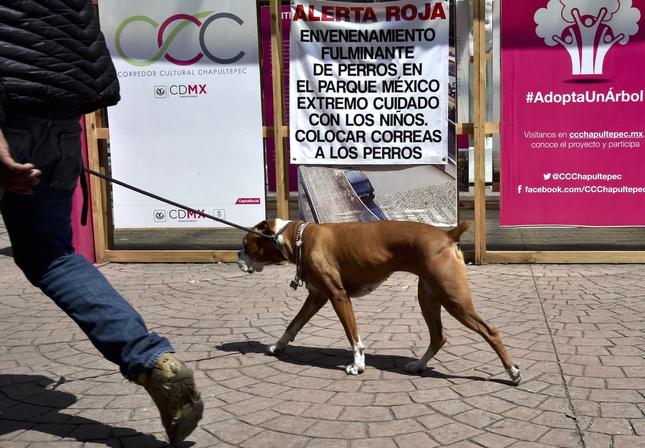 Identifican a sospechosa de ser la "mataperros" de México