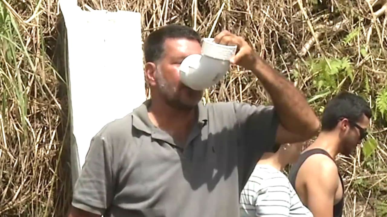 Gobierno de Puerto Rico requisó 15 contenedores de alimentos para entregarlos a los damnificados del huracán María