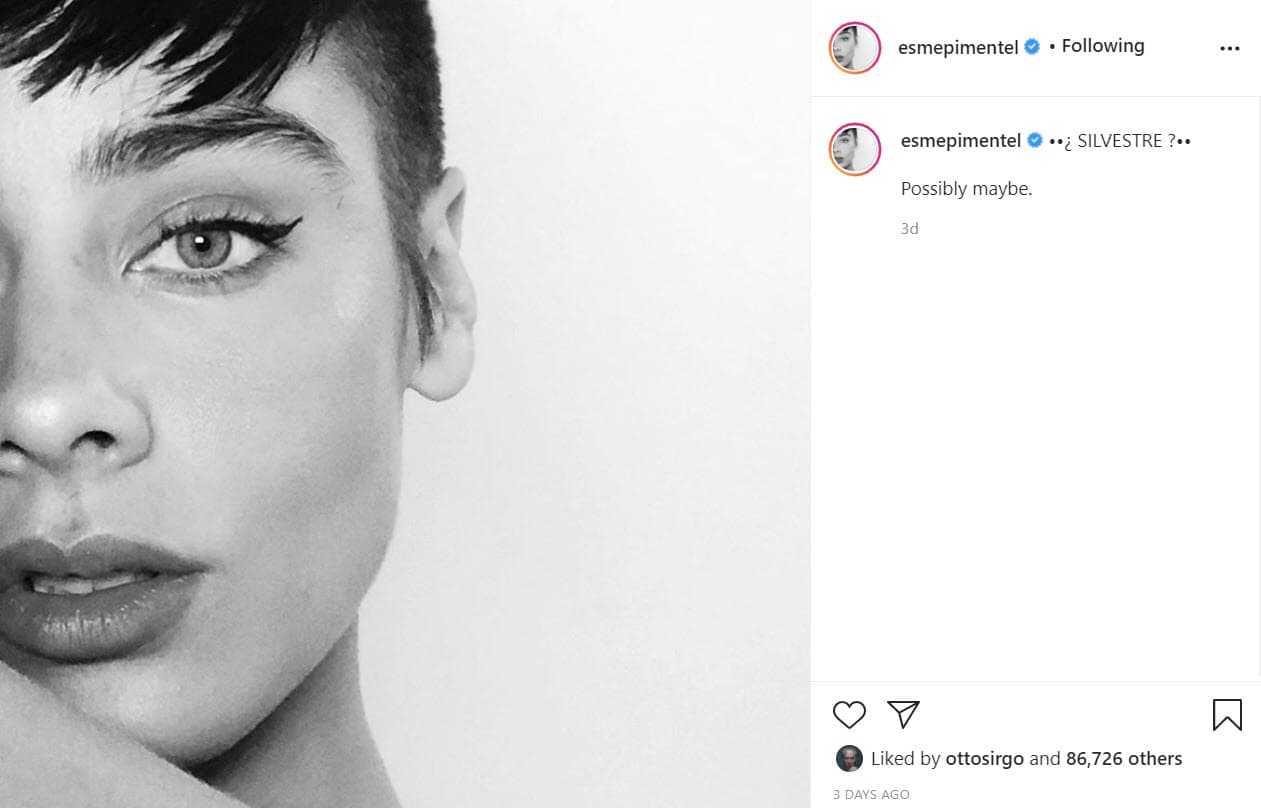 El día 24 publicó esta otra imagen donde se aprecia que
<b>se cortó el cabello para interpretar un nuevo personaje</b>: "¿Silvestre? Posiblemente, quizá".
<br>