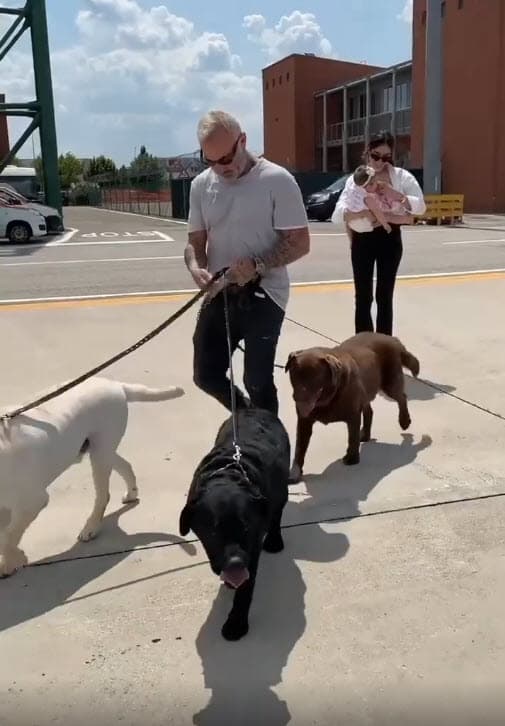 Sharon y Gianluca han compartido tiernas fotografía de cómo han logrado formar una familia junto a su hija y sus tres perros.
<br>