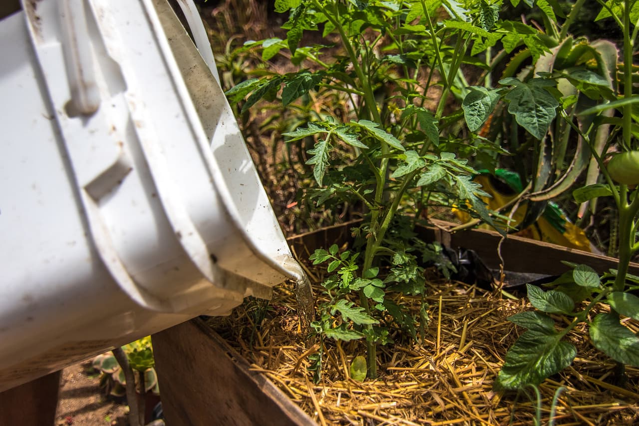 Rob Greenfield lleva más de cinco meses viviendo ahí.