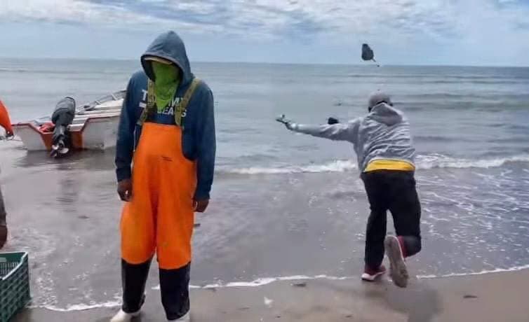 Incluso se informó que la Procuraduría Federal de Protección al Ambiente había iniciado una investigación al respecto.