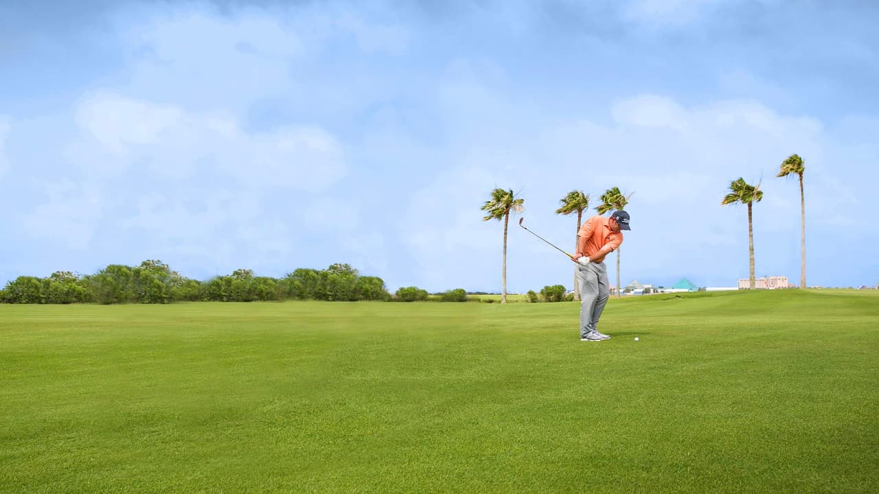 Es una oportunidad perfecta para convertir una excursión de un día en una semana entera de diversión visitando las atracciones, descansando junto a la piscina del hotel, relajándose en el spa o jugando golf.