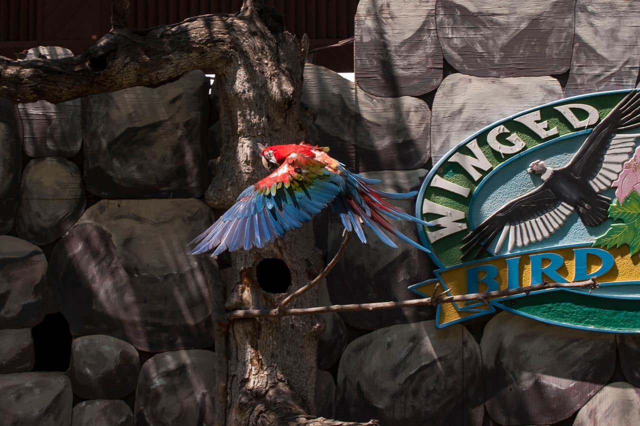 Un bello dia fue perfecto para las familias desde Bakersfield a Modesto.