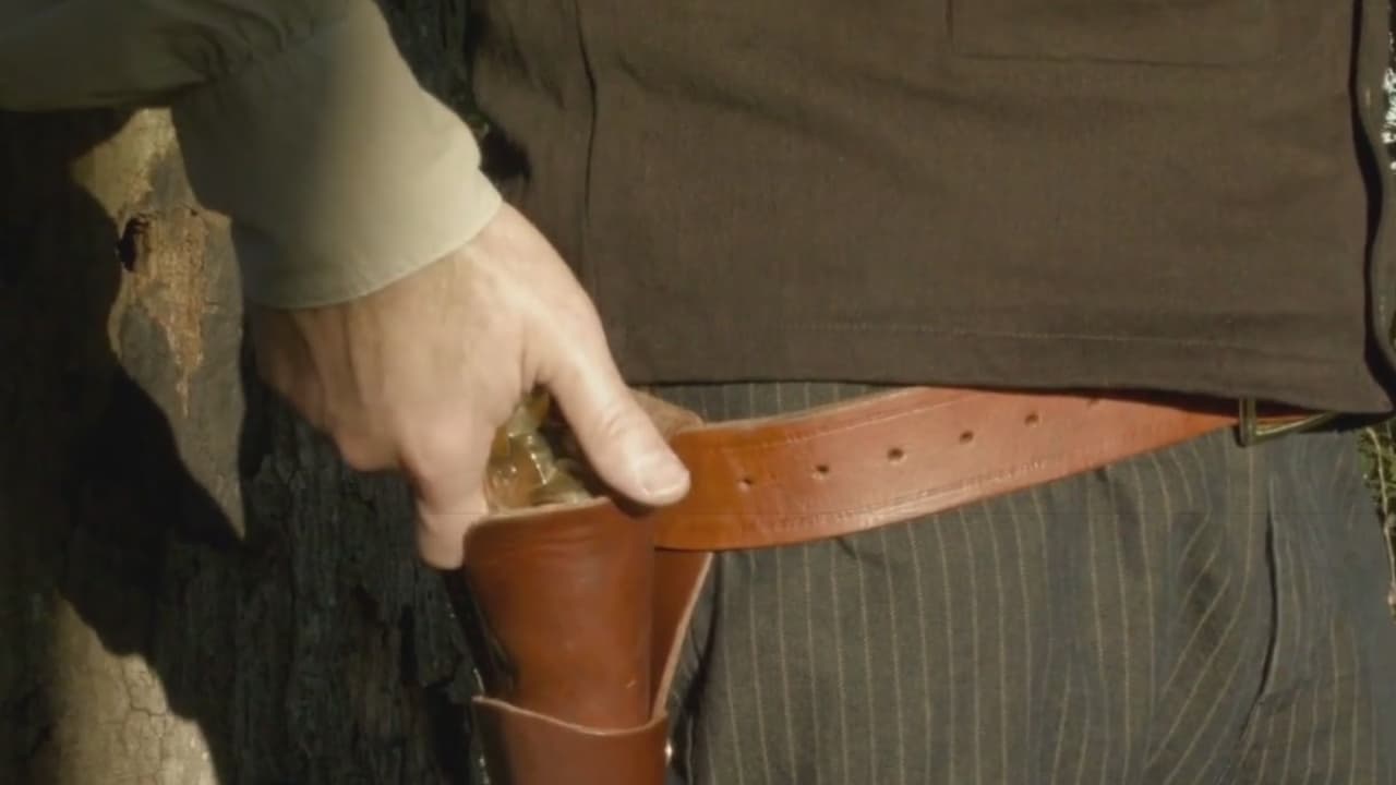 Porte visible de armas en Florida: ¿qué está permitido y qué escenarios debes evitar?