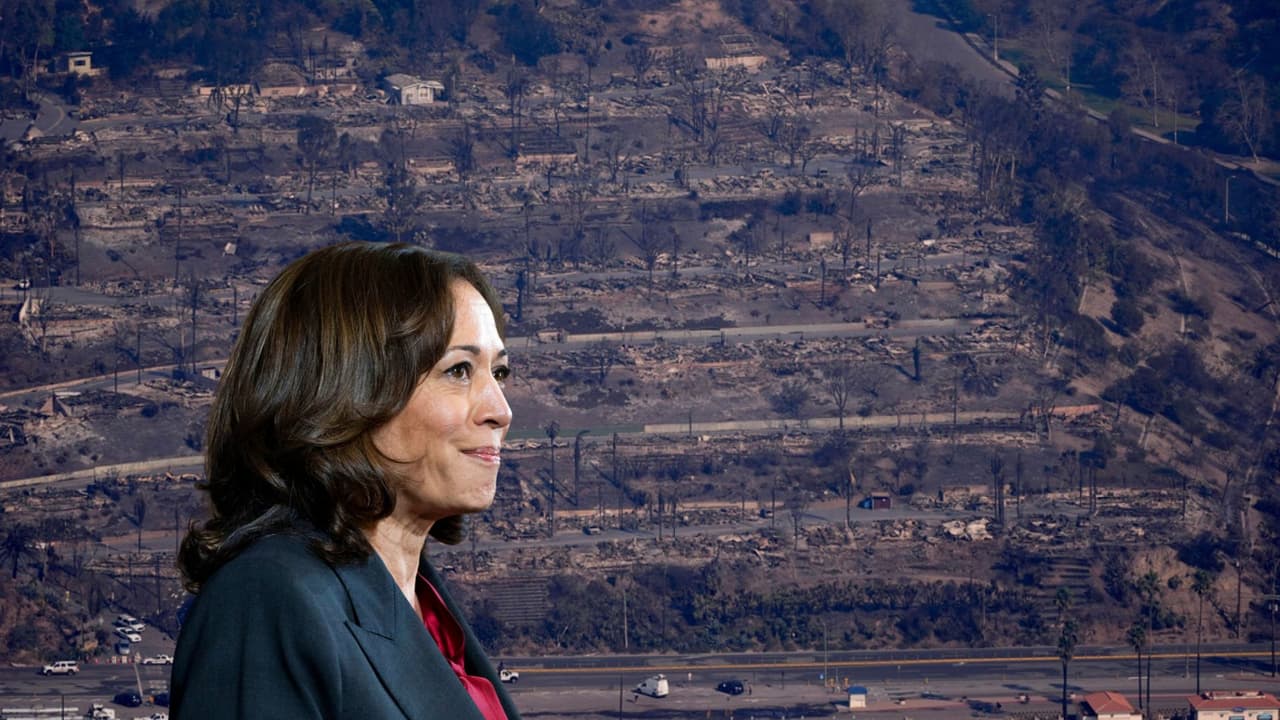 <h2 class="cms-H2-H2">Kamala Harris</h2>
<br>
<br>“Anoche se ordenó la evacuación del barrio de la vicepresidenta en Los Ángeles. Ella y el segundo caballero rezan por la seguridad de sus compatriotas”, señaló un portavoz de Harris después de que se confirmara que su vivienda en Los Ángeles había sido evacuada.