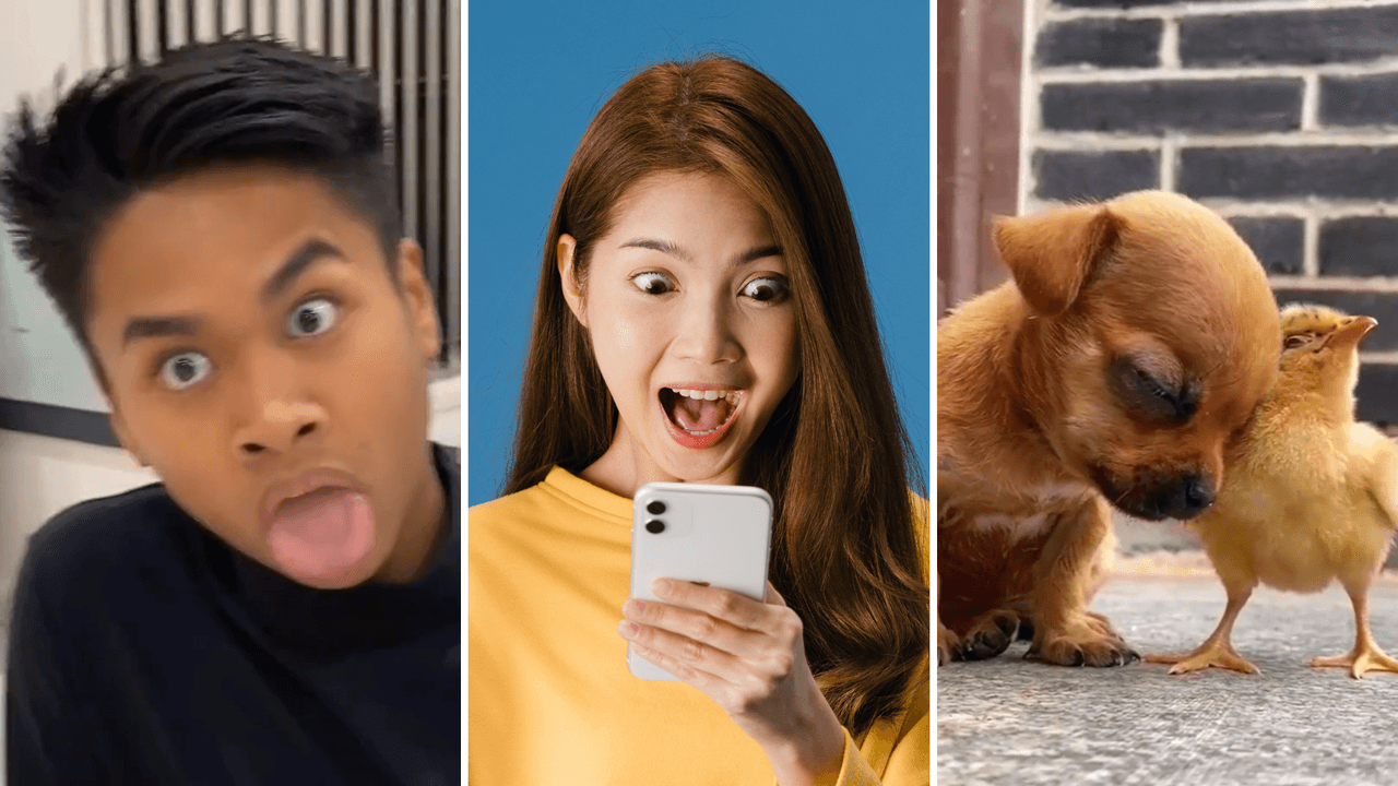 14 increíbles videos de Tiktok que deberían ser virales y aún no lo son: no podrás dejar de verlos