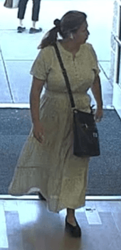 La sospechosa dos salió del automóvil y volvió unos 20 minutos después con $10,000 en efectivo. (Sospechosa dos).