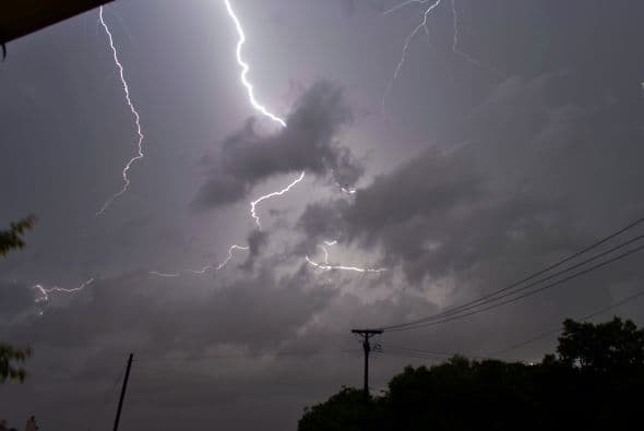 Tormenta Fred deja árboles caídos tras ráfagas de viento de 55 millas por hora en Puerto Rico 