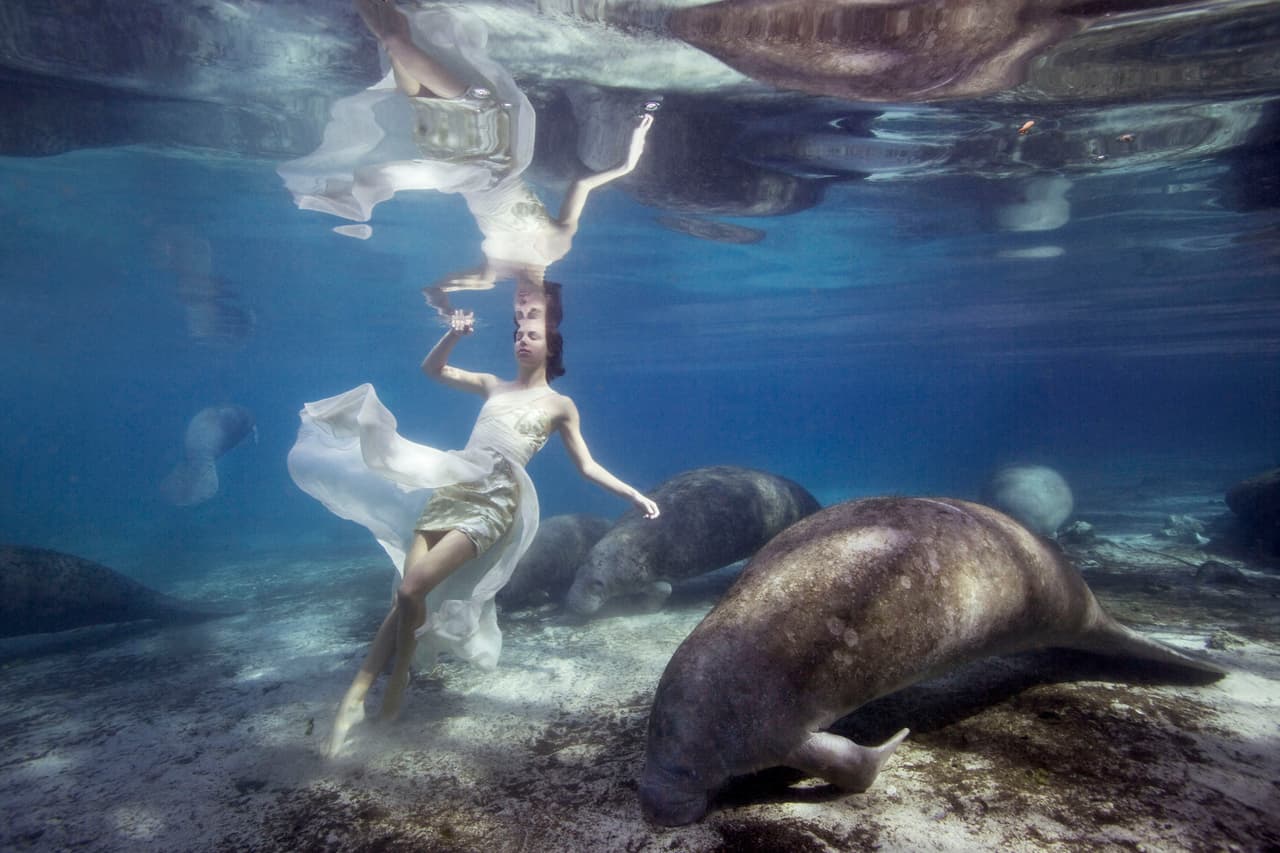 Con increíbles vestidos realizó poses ante los tiburones.