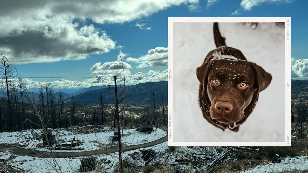 Se esperan temperaturas heladas en todo el Valle Central. ¡Abrígate y protege a tus mascotas!