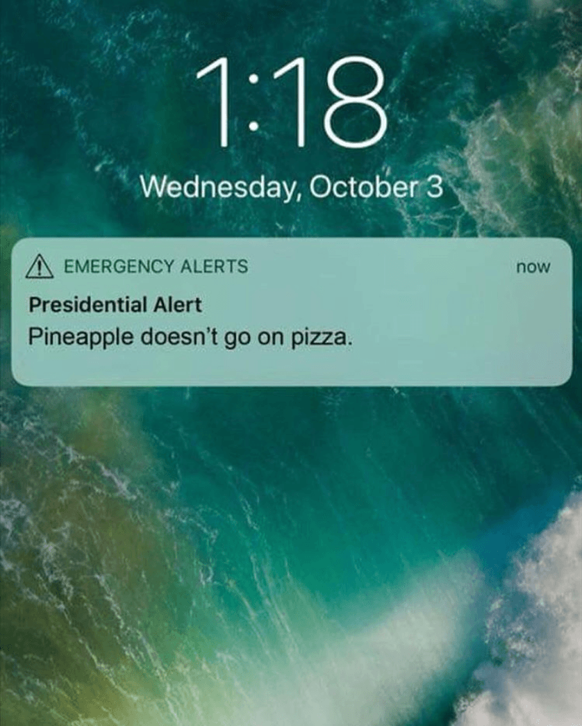 "La piña no va en la pizza".