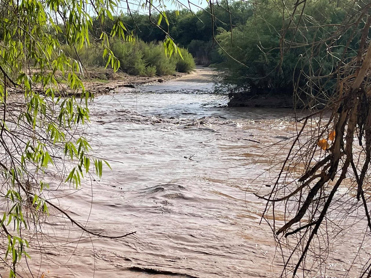 Justo después de salir del vehículo, una gran ola volcó su camioneta y los tres fueron arrastrados río abajo por la ola. Dijeron que trataron de agarrarse de las ramas de los árboles pero que debido a la fuerza del agua no pudieron. Los sujetos dijeron que cuando se acercaron al puente de la autopista 80, el nivel del agua bajó y los tres pudieron salir. El grupo fue arrastrado aproximadamente cuatro millas antes de lograr escapar.