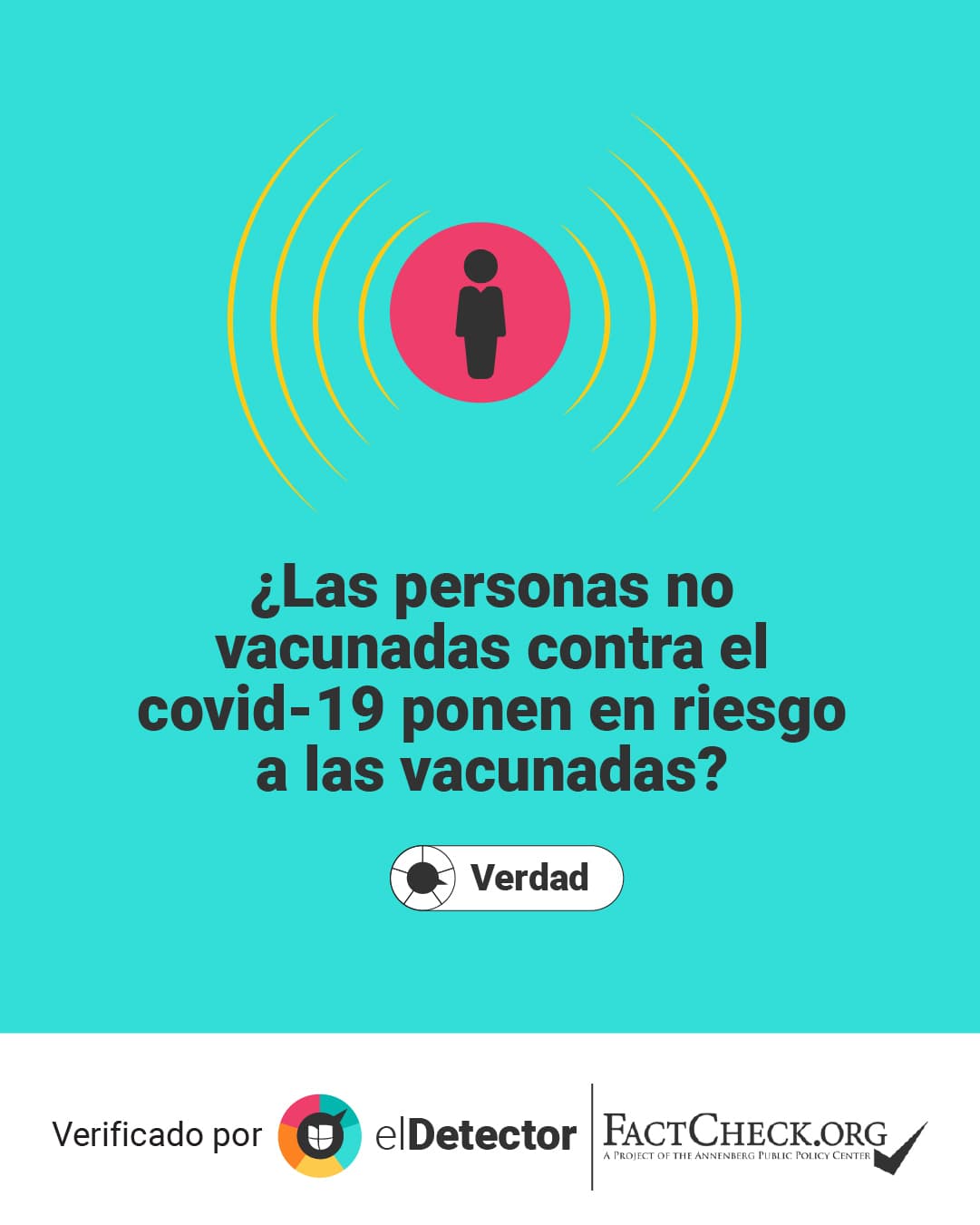 <a href="https://www.univision.com/noticias/los-no-vacunados-ponen-en-riesgo-a-los-vacunados">Lee aquí </a>la verificación completa de 
<b>elDetector </b>en alianza con 
<i>FactCheck.org.</i>