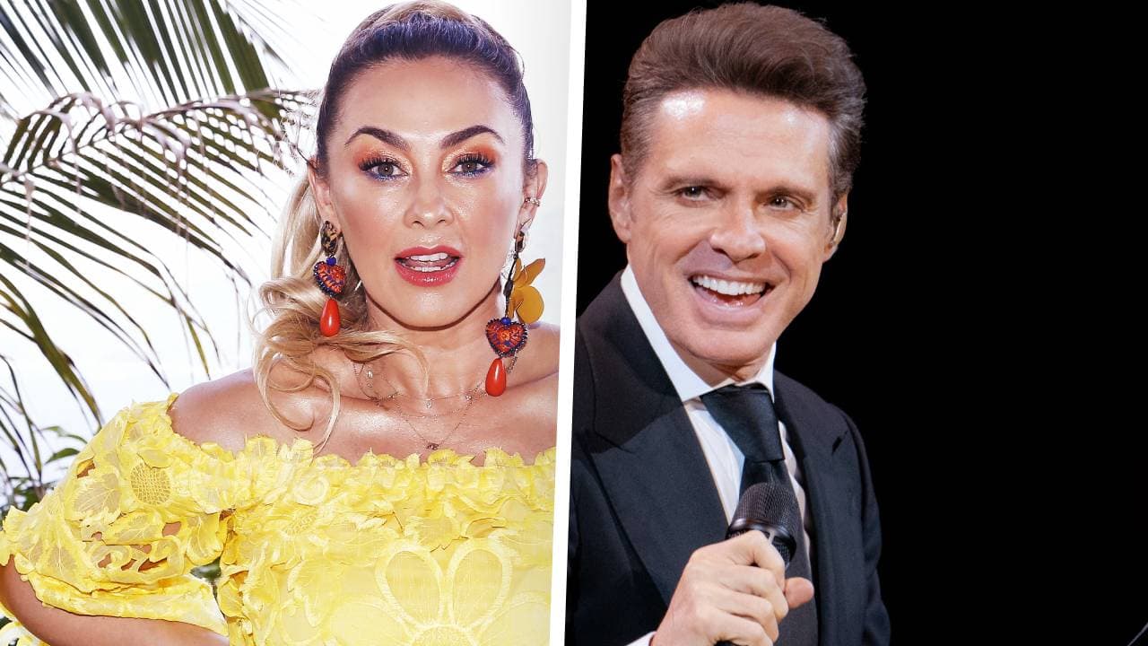 Así explotó el pleito entre Luis Miguel y Aracely Arámbula por la manutención de sus hijos