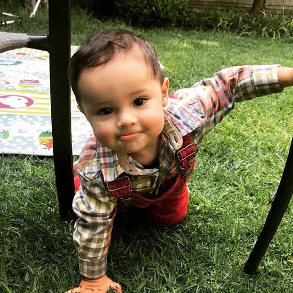 El próximo 1° de junio León cumplirá un año de edad.