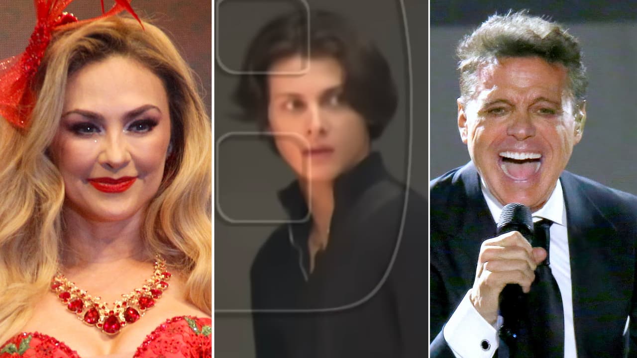 Hijo mayor de Aracely Arámbula y ‘Luismi’ reacciona tras revelarse su rostro