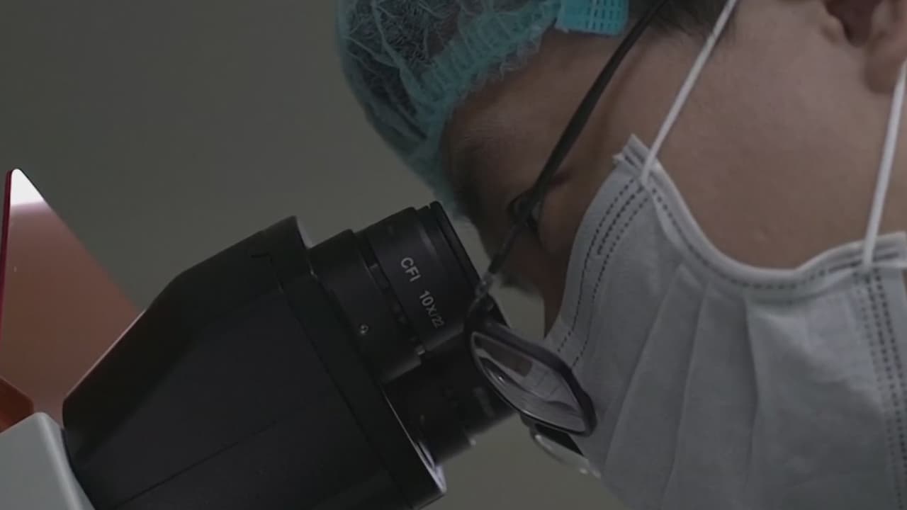 Científico chino anuncia que modificó los genes de dos bebés y la comunidad científica reaciona con indignación