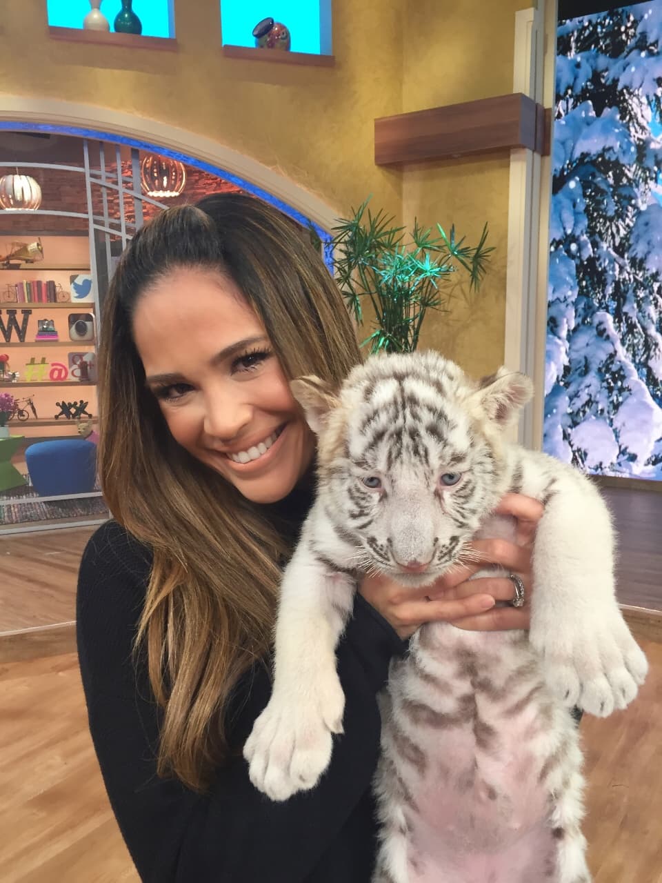 Estos cachorritos tienen apenas 5 semanas de nacidos.