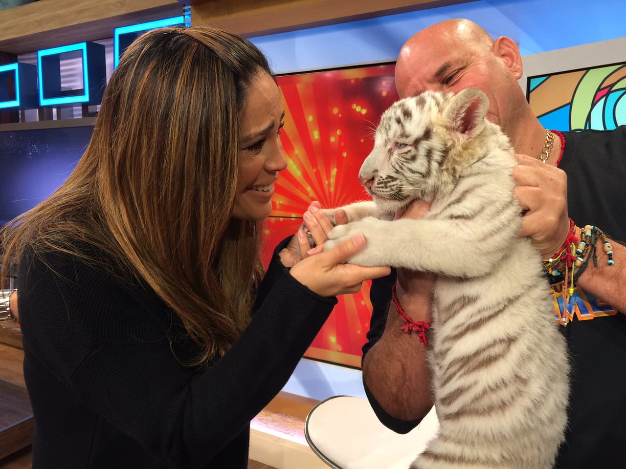 ¡Ternurita! La magia del circo Ringling Brothers llegó a nuestra casita.