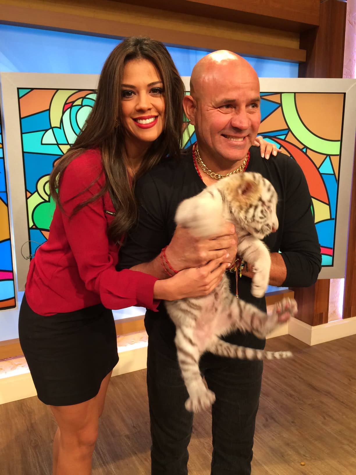 ¡Todos posaron con estos hermosos gatitos!