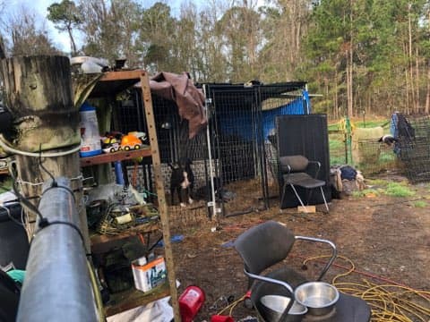 Las autoridades dijeron que 30 de estos animales rescatados eran propiedad de Dragon Paws Rescue, la cual opera en Georgia, Florida y Virginiacuya licencia fue suspendida. 
<br>