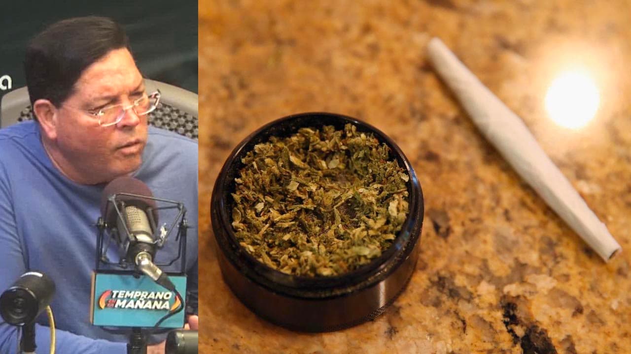 Buscan que los puertorriqueños vayan a votar para despenalizar la posesión de marihuana recreacional 
