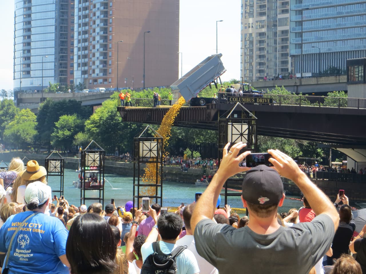 Cada uno de los patos representa a una persona u organización que los adoptó.