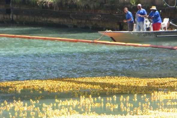 Si algún patito se salía del camino, rápidamente lo regresaban a la competencia.