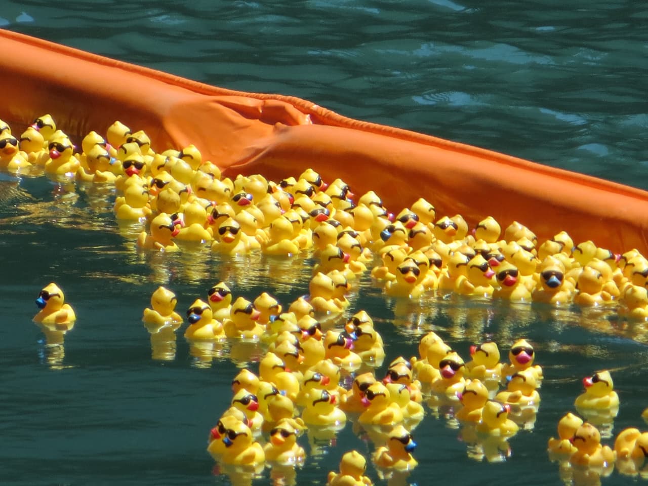 Poco a poco una marea amarilla fue pintando el río.