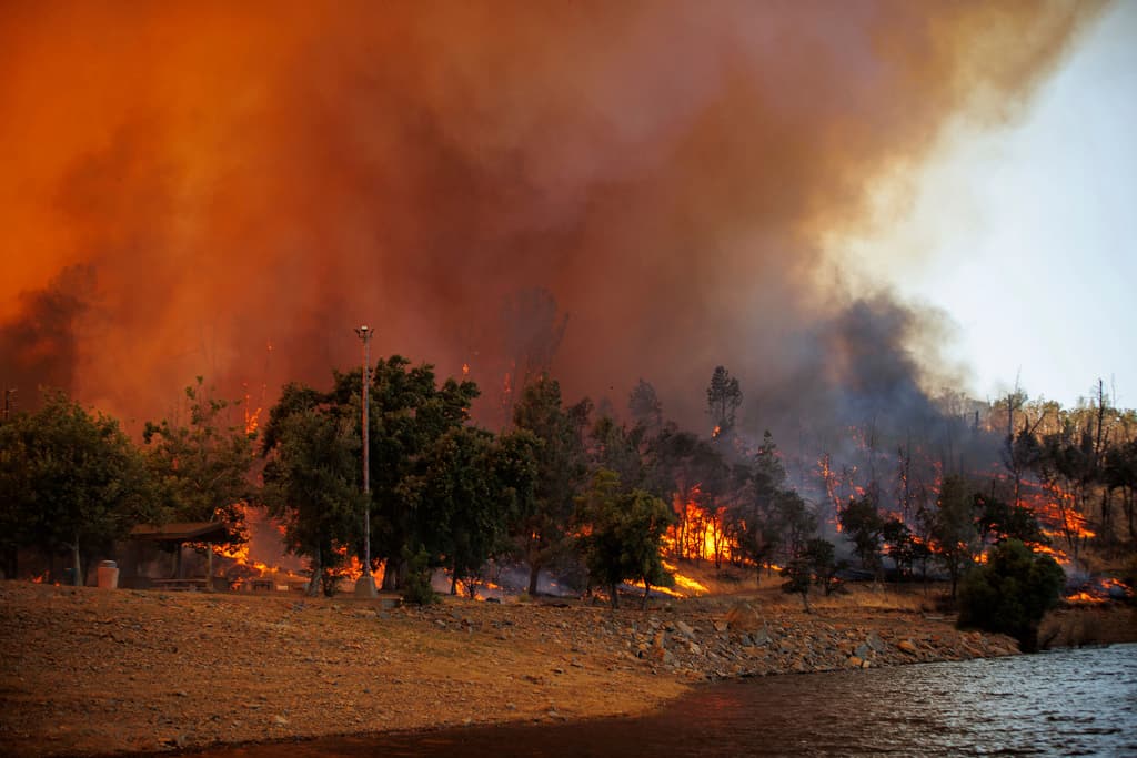 La causa del incendio está siendo investigada. Se sospecha que puede haber sido causado por la actividad humana o por condiciones naturales extremas.