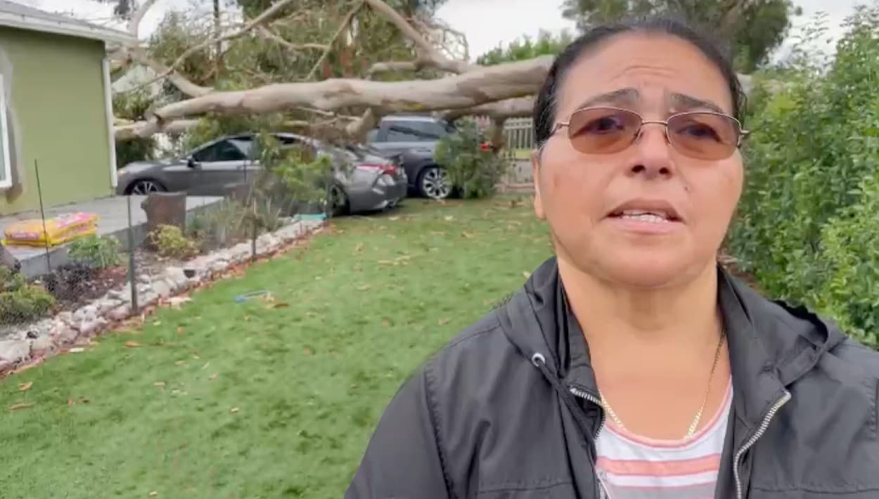 Abuela hispana da gracias en Sun Valley porque el árbol que tumbó Hilary en su patio destruyó dos autos