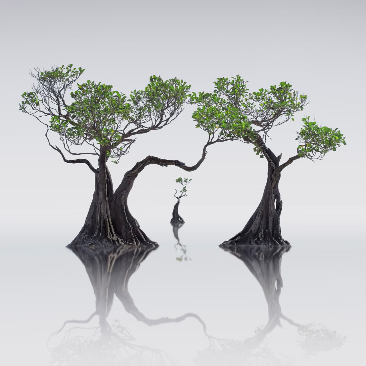 Isla Sumba, Indonesia.
<br>
<br>