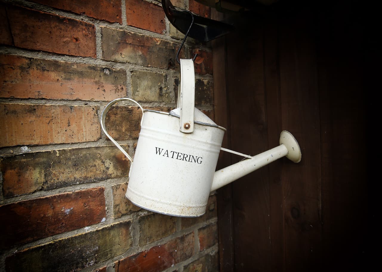 ¿Te gustaría regar las plantas de una manera vintage? ¡Consigue una de estas!