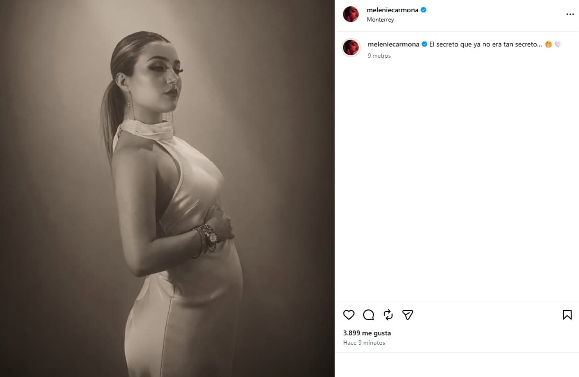 Melenie Carmona, hija de Alicia Villarreal, confirmó que está embarazada con esta foto.