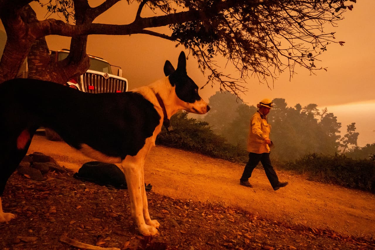 Un bombero se prepara para defender una estructura durante el incendio bautizado como Plaskett, el 28 de agosto de 2026, en Big Sur, California. (AP Foto/Ethan Swope)