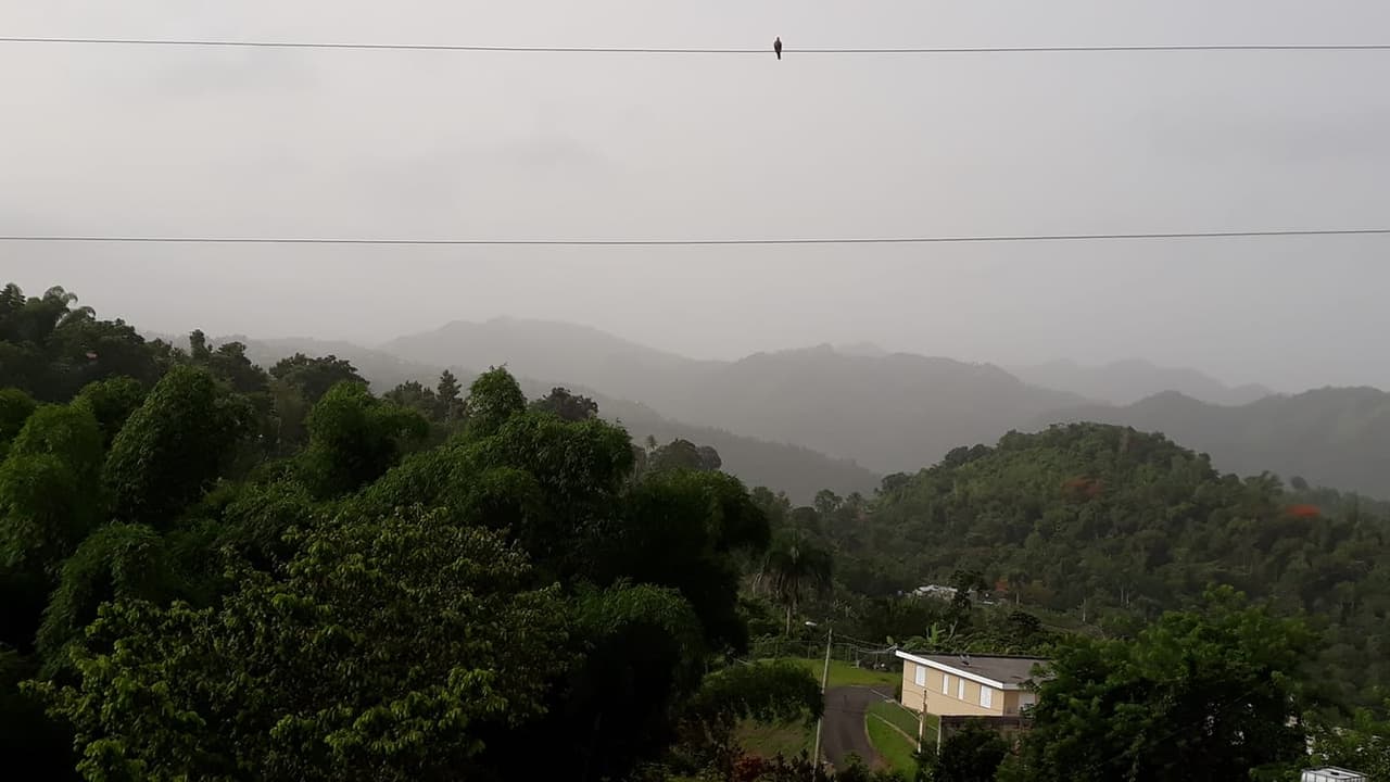 Paisaje del municipio de Ciales