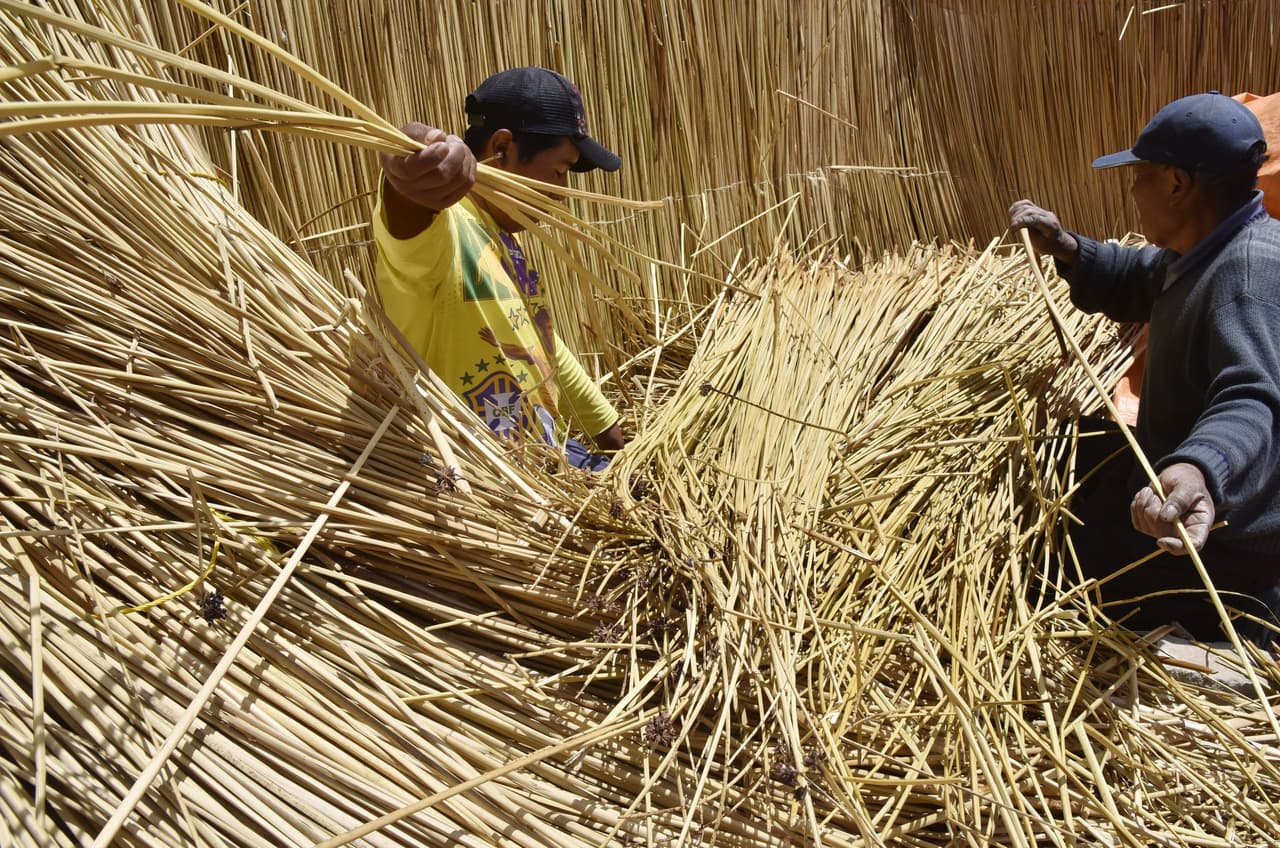 El Viracocha III está hecho enteramente de totora, una especie de junco perenne que crece en los lagos del Altiplano boliviano y peruano.