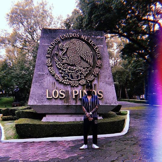 El famoso tatuador estadounidense Jonathan Valena, conocido como Jon Boy, viajó a la Ciudad de México para tatuar a Sofía Castro, Paulina Peña Pretelini y a una amiga de la actriz.