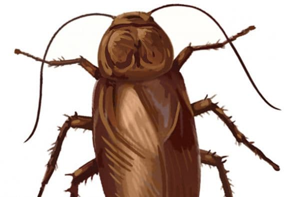 El ilustrador del sur de Florida, Álvaro Díaz-Rubio, creó una serie de emojis inspirados en la comunidad de Miami.