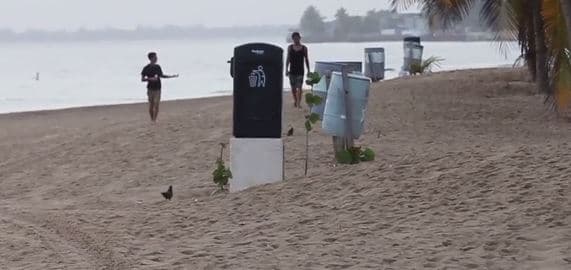 Pese al llamado de disfrutar la noche pero concientes de que las playas hay que mantenerlas limpias, balnearios como Isla Verde acabaron llenos de basura.