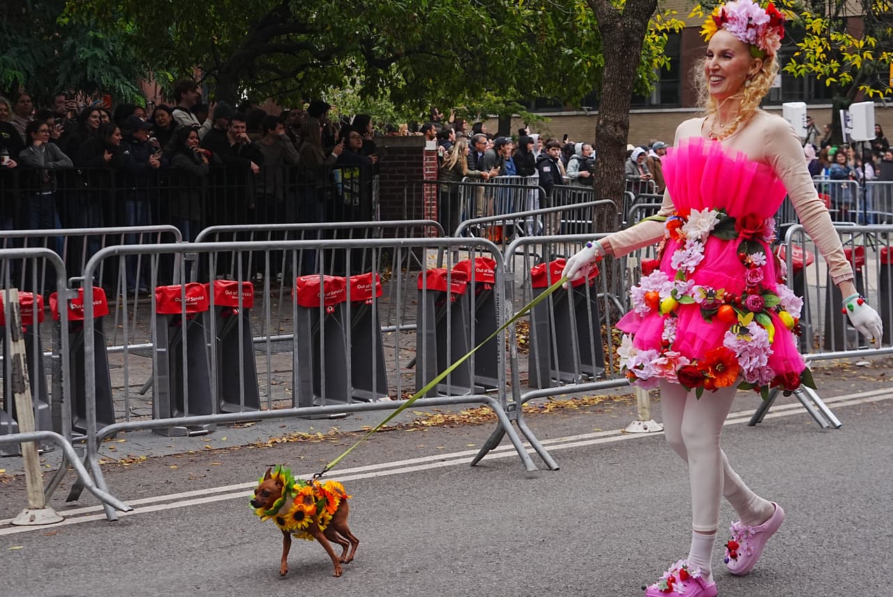 Los dueños de los perritos también se disfrazaron para recorrer las calles de Manhattan.
